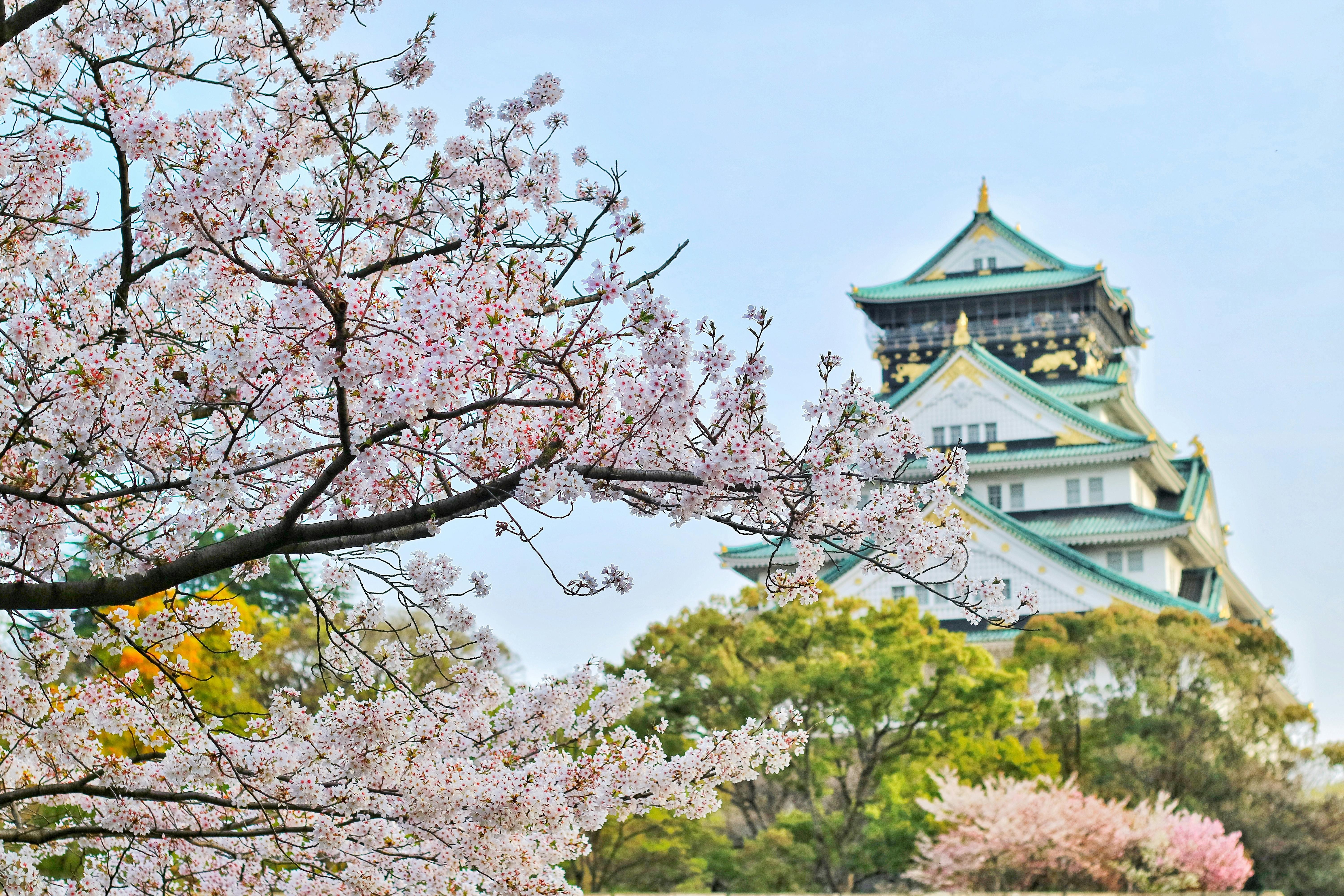 I 5 migliori Bed and Breakfast a Osaka